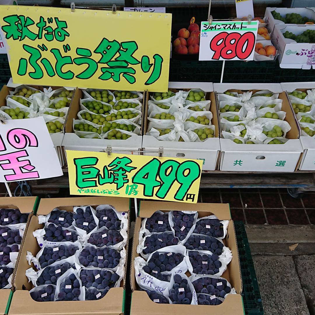 シャインマスカット祭り