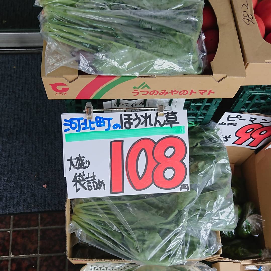 河北町吉野の「ほうれん草」
 大袋入りで108円️
トマトの箱に匹敵しそうなボリュームですね。