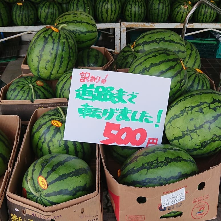 ≪尾花沢すいか≫
今朝も山のような出荷️(市場)

なんとお店並べ中にひと山崩れて
道路にまでゴロゴロ～️
転げたスイカは緊急値下げ️
半額以下の500円ワンコイン️