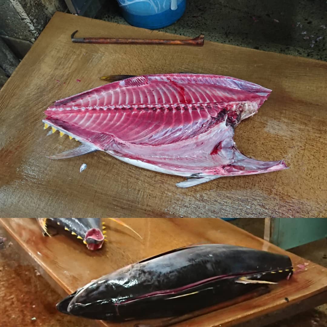 ≪マグロの中落ち～️≫
マグロの骨の部分からスプーンでそぎ落とし形や大きさがバラバラなのが中落ちです。運良く「トロ？」が入ることがありますが、ほとんどが赤身です。A4サイズ位のトレーに入って1,620円(税込)
我が家では１回では食べきれません。
不定期入荷でいつまでも待っていられるよという方に限り予約を承ります。先着順でお声を掛けさせていただきます。前回は最短で当日、最長で３ヶ月くらいかかりました。
予約はいつでも受けておりますので思い立ったときにお願いします。