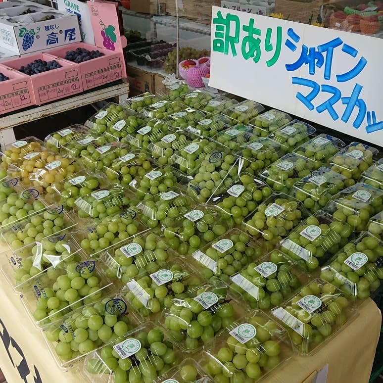 【シャインマスカットまつり～️】
訳あり(市場でおいて軸が茶色になった)
早い者勝ち
1p399円＝消費税8%含んでのお値段です。
【種無し高尾】
これはおすすめです大房3ふさ入り
1箱999円️
【リンゴ昂林】
酸味があっておいしい早生ふじ系りんごとにかくデカい 2個入り258円
【朝採りキャベツ】
朝採りキャベツは毎日入荷️
【極早生みかん】
爽やかな酸味極早生みかん199円