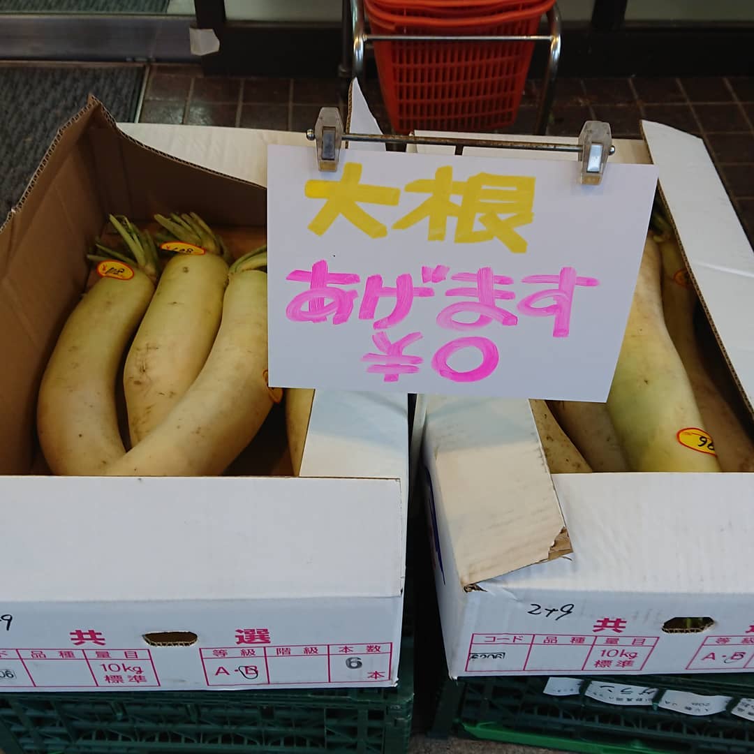 【ニュース️】
大根畑に1,000人が押し寄せて大根を根こそぎ持っていったニュースがあった。警察も来たがあまりの人数になにも出来なかったという。
ここでは合法的に0円️
現物限り
ノークレーム、ノーリターン