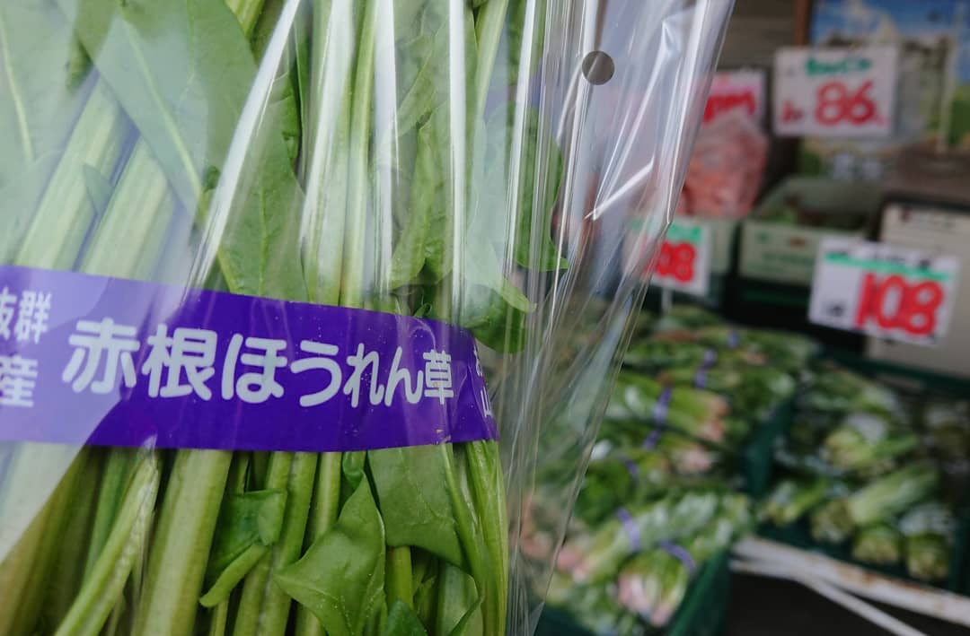 ≪やまがた特産️≫
赤根ほうれん草
ほうれん草は冬の野菜️