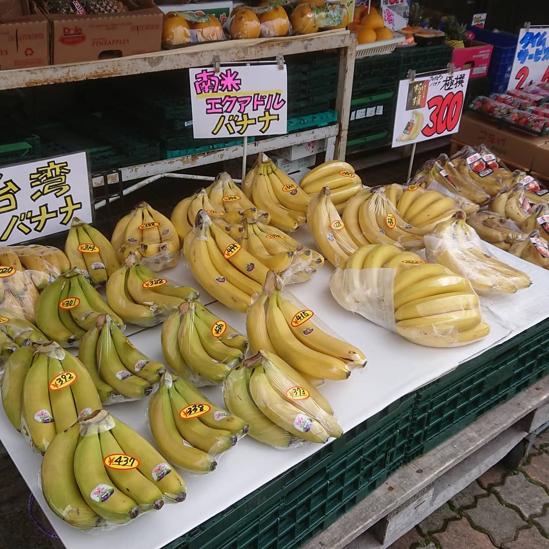 バナナは
台湾、エクアドル、フィリピン
ネギ苗は大束1kg️