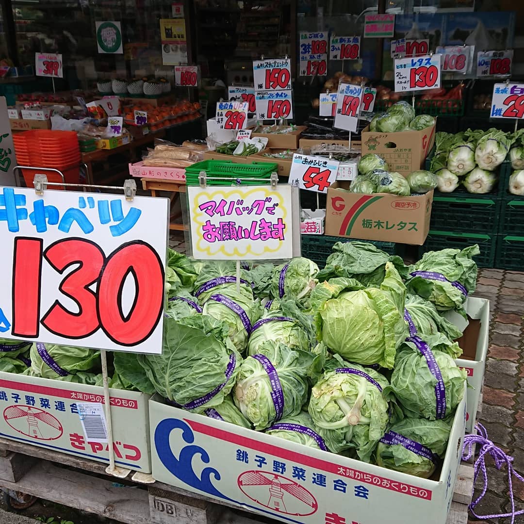 レタスを食べよう
白菜もキャベツもお買い得️
台湾パインは極甘です。