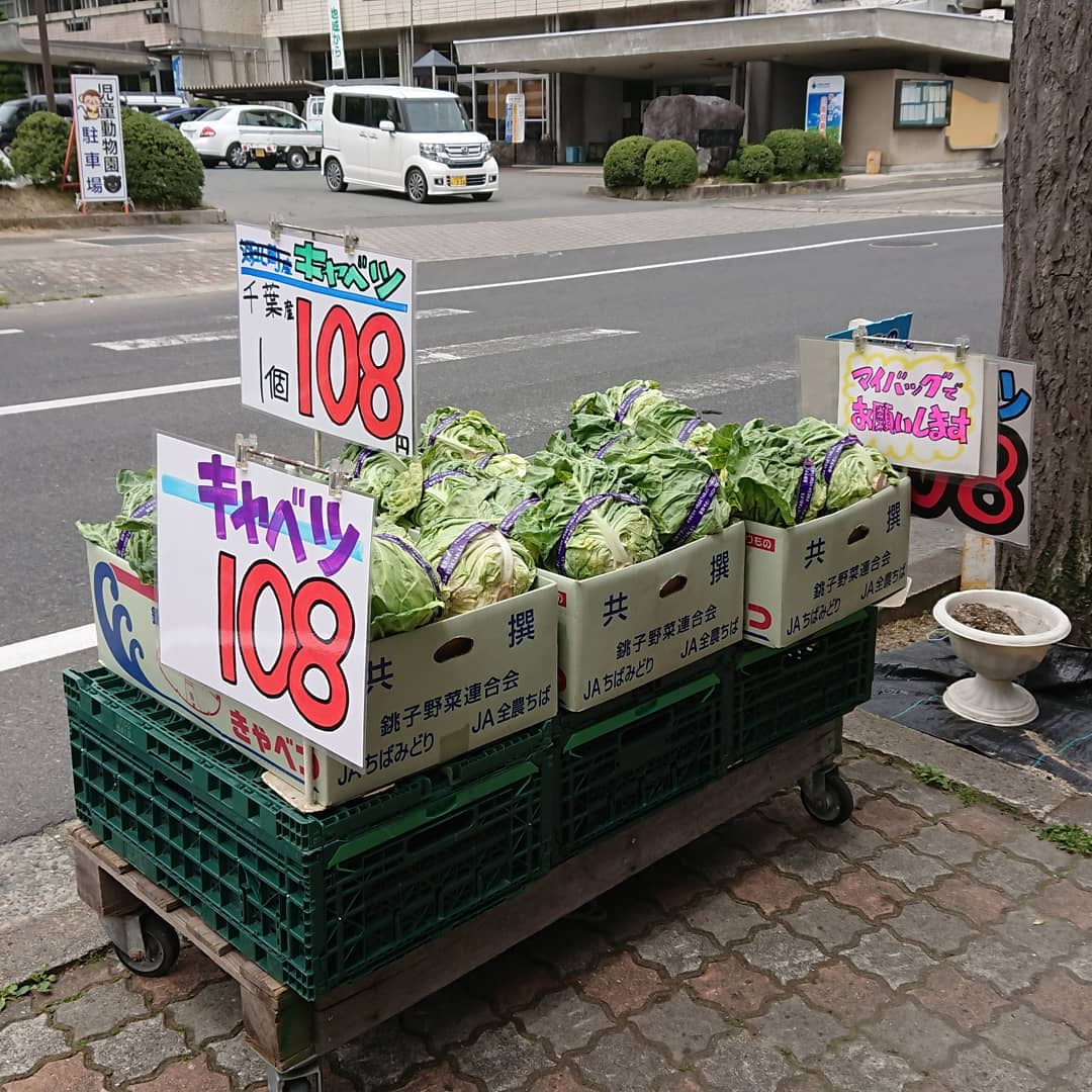 キャベツは108円に突入～️
台湾パインは試食があるよ～️
チョコバナナはアートだデコシャル️はみんなの笑顔のために～️