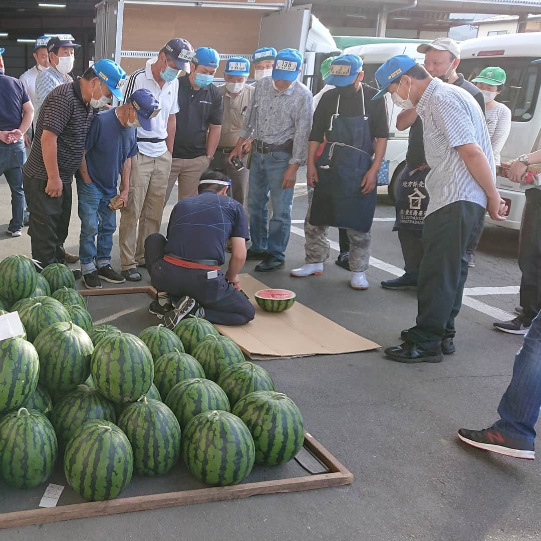 【初競り️️】
尾花沢バラスイカ市場に初登場️
まだ出荷の量は少ないですが
いよいよ尾花沢スイカの幕開けです
お店のスイカは千葉産→尾花沢産(山形)にシフトしていきます。