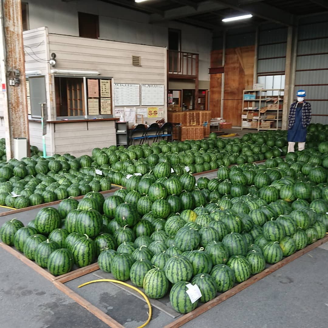 休み明けの市場は「スイカ」でいっぱい️
とうもろこし祭りは『河北町産ゴールドラッシュ️』今日も69円税込️
チョコバナナはアートだ。デコシャル️はみんなの笑顔のために～️