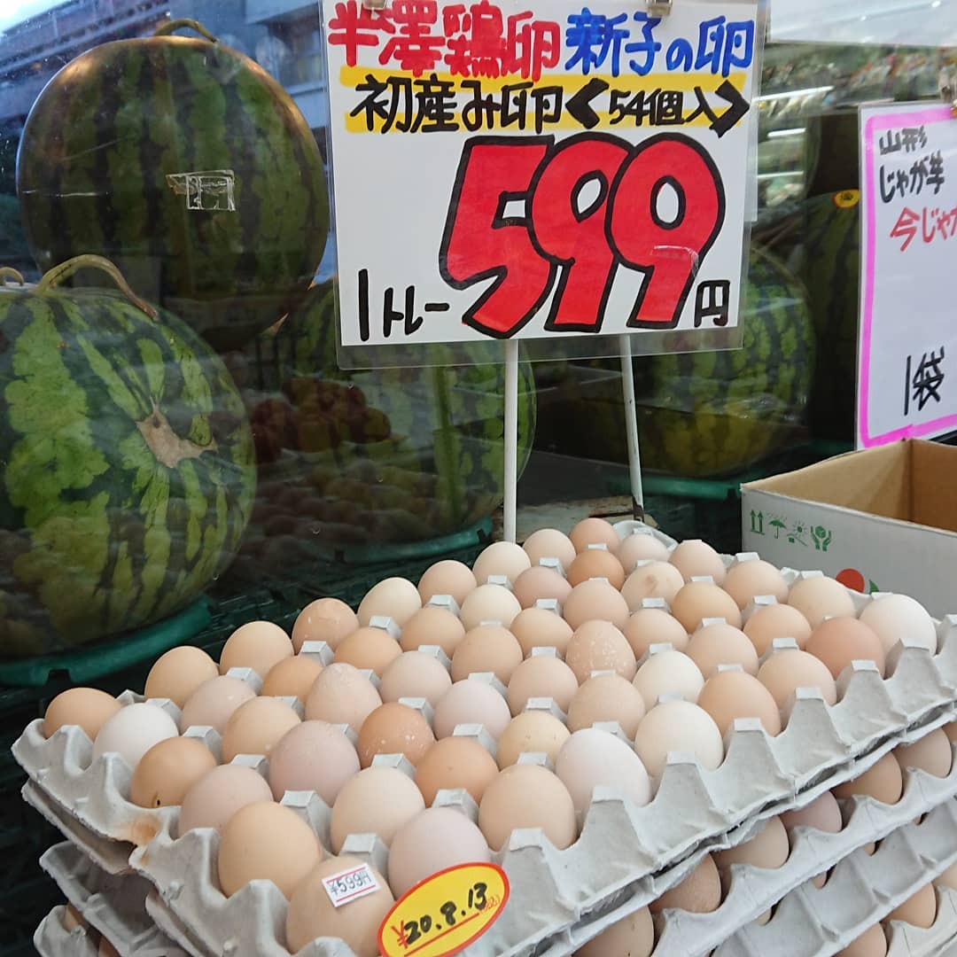 あなたの家では54個食べられますか️
初産み卵(新子の卵)不定期入荷～️
トレー1枚毎の販売です。