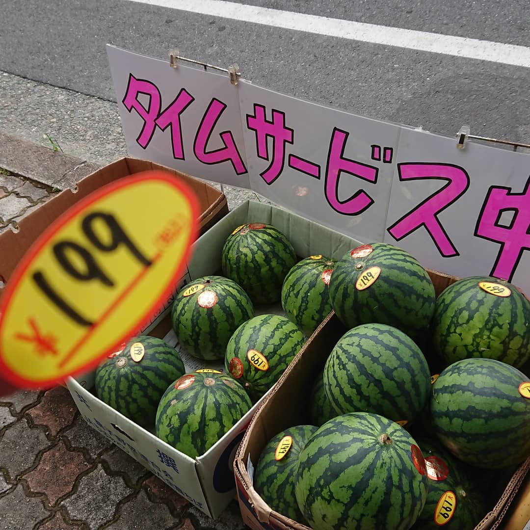 【出た～️199円スイカ】
スイカ入れ替えのためおもいっきり価格️
桃箱売り 799円～️
レンジでチン「じゃがいも」216円は相場から見てお得️
巨峰パックは今日も499円継続中～️