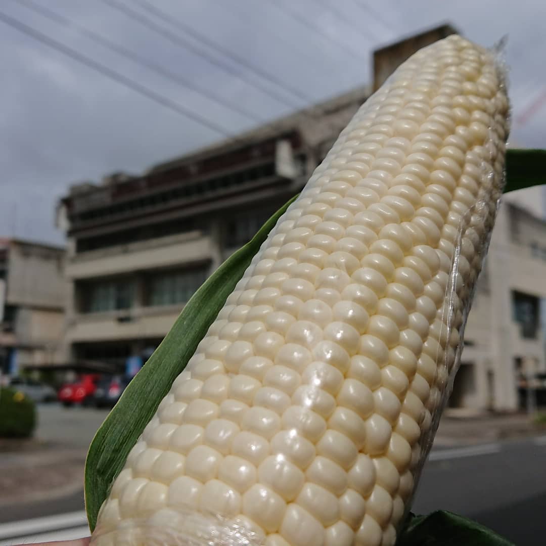 ≪ありえな～い甘さ≫
極甘とうもろこし
北海道産『ピュアホワイト』
サラダ感覚で生で食べられます️
レンジの場合はラップをして3分でチン
ぜひ極甘体験を️