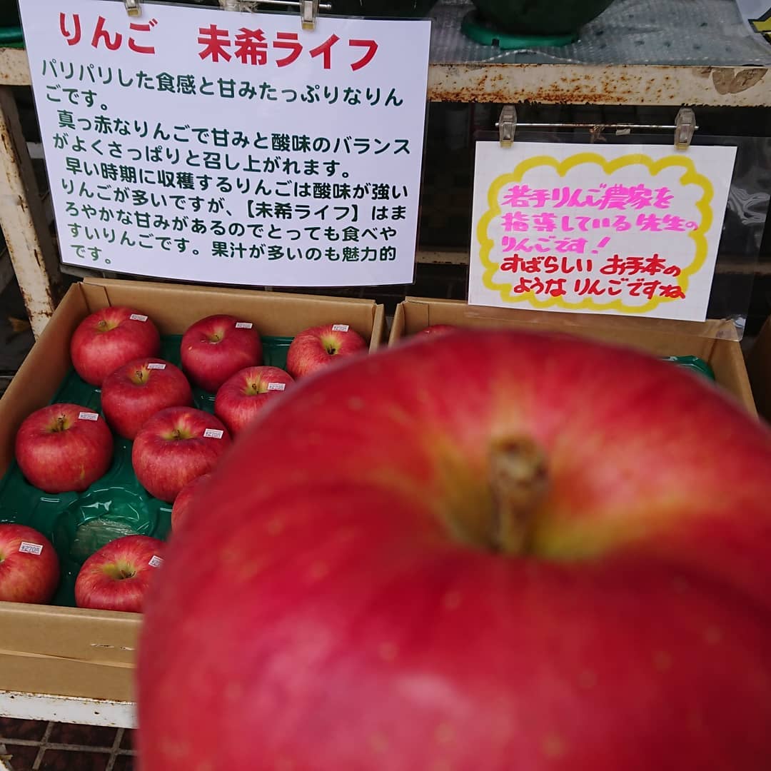 若手りんご農家を指導する先生のりんごが入りました。まさにお手本のようなリンゴです