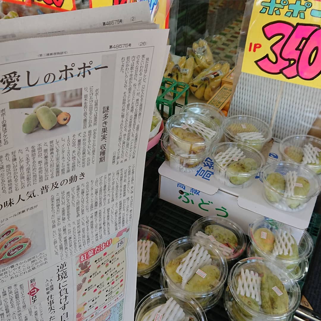 ≪愛しのポポー️≫
なんとタイムリー
ポポーが今朝の山形新聞に載ってた～️
幻の南国フルーツ食べてみらんなね～️