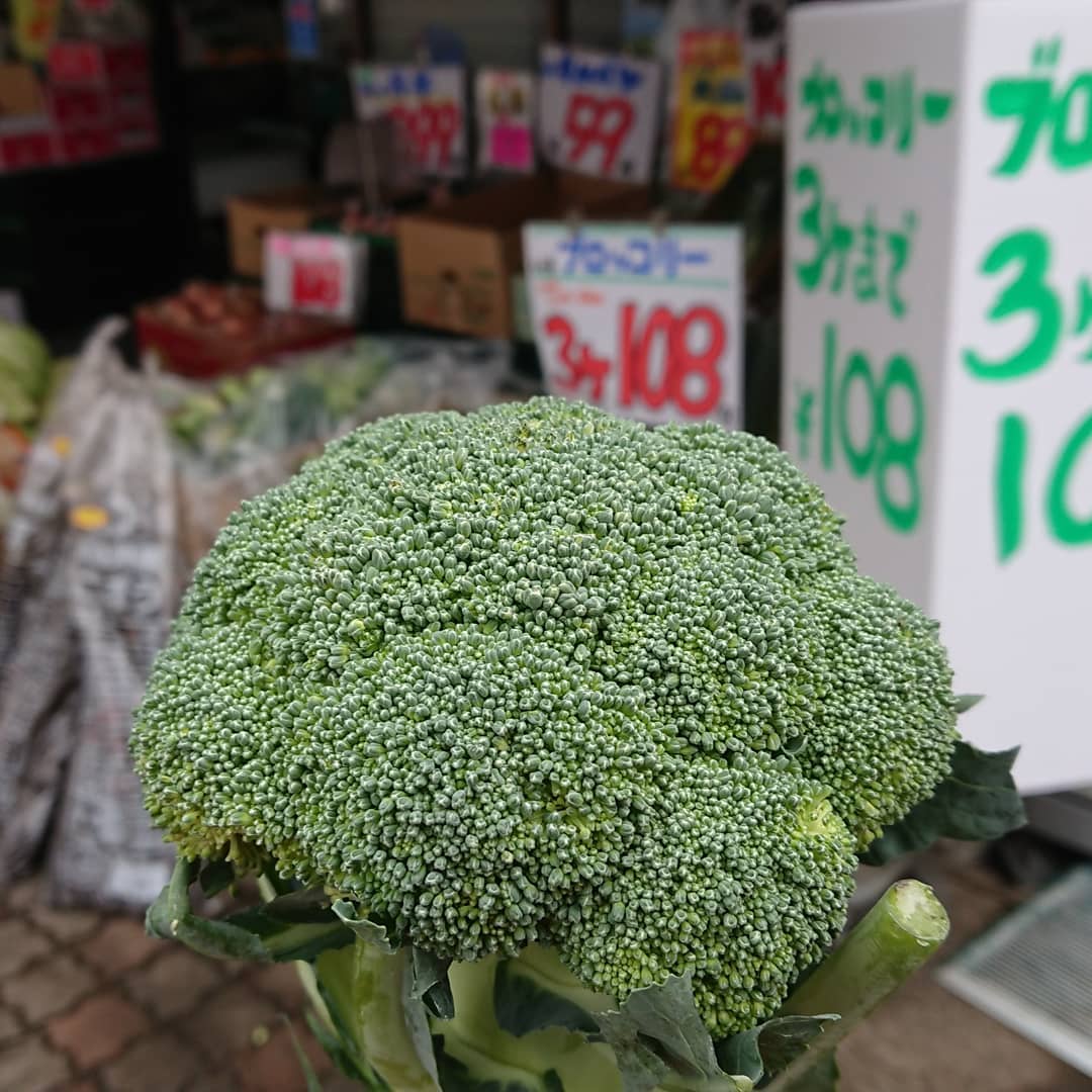 【値崩れ️️】
生産者の方に申し訳ないが、相場ががたがた
ブロッコリー?3個まで108円️
(1個でも2個でも３個でも)

【バナナ箱売り️】
ベトナム産14kg１箱799円️
フィリピン産13kg1箱1,080円️

【デコシャル️】
チョコバナナはアートだデコシャルはみんなの笑顔のために～️