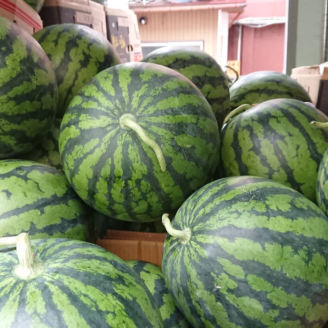 【尾花沢スイカが始まった～️】
シャリ感が半端ない尾花沢スイカ️
もぎたてを食べてみませんか️
軸付きのスイカは鮮度の証です