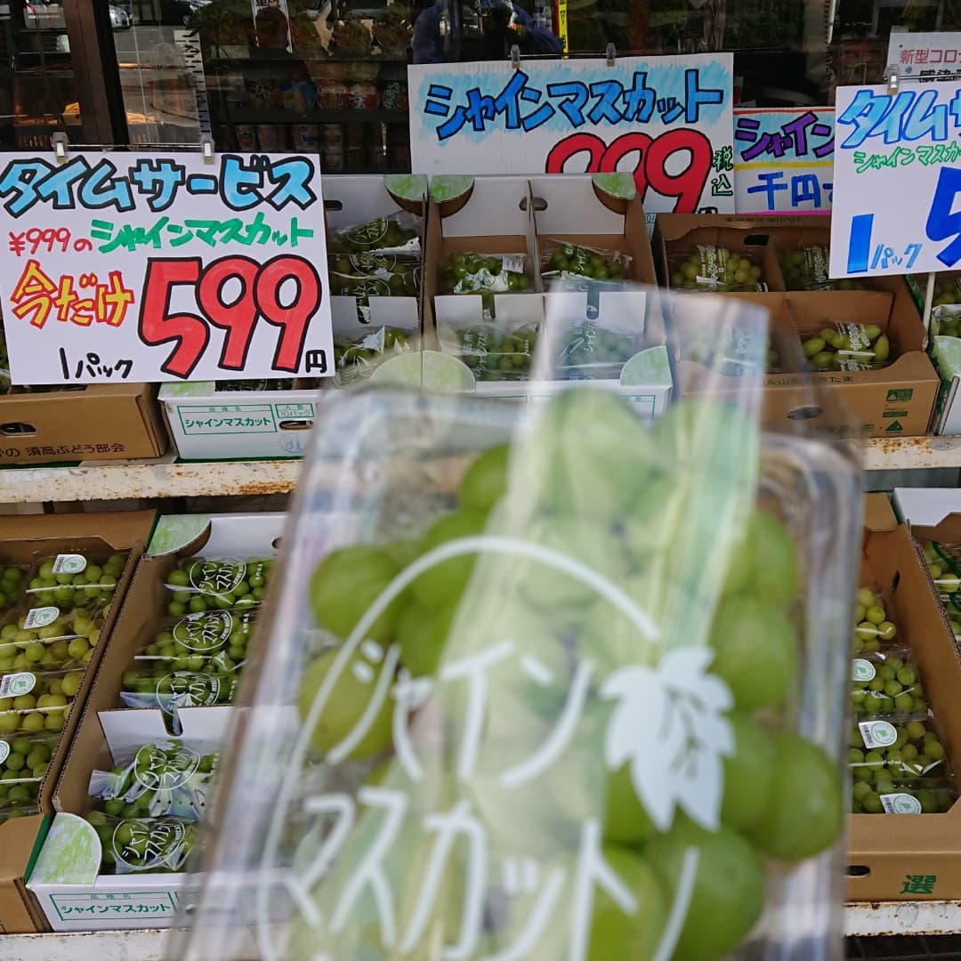 本日の目玉は
シャインマスカット
1P599円