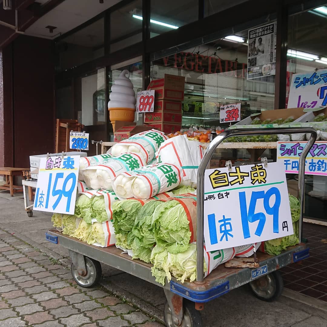 白菜
値段下げました～️
２株入り
1束159円