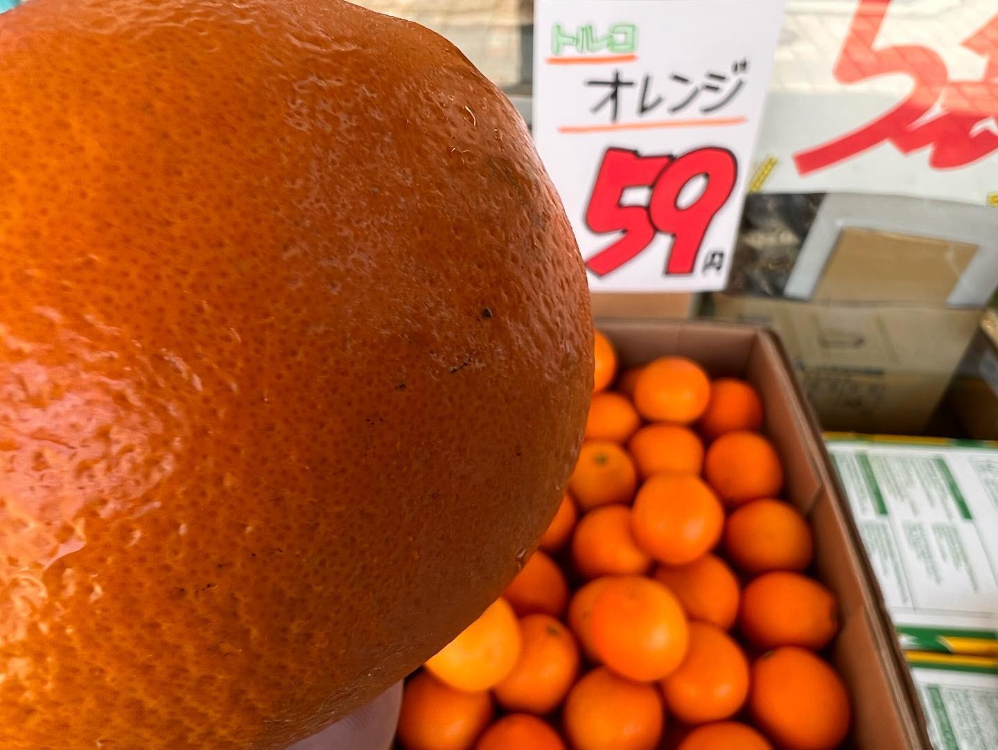 オレンジ安い️
緑のきういふるーつは580円
