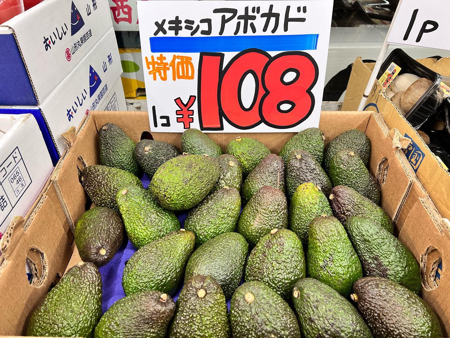 アボカド🥑
今異常に値上がりしていませんか？
ギリギリ奥の手を使っての限界価格がコレです️
お近くのスーパーなどの値段を見ていただきたいです。なんぼくらいで売っているのかなぁ〜