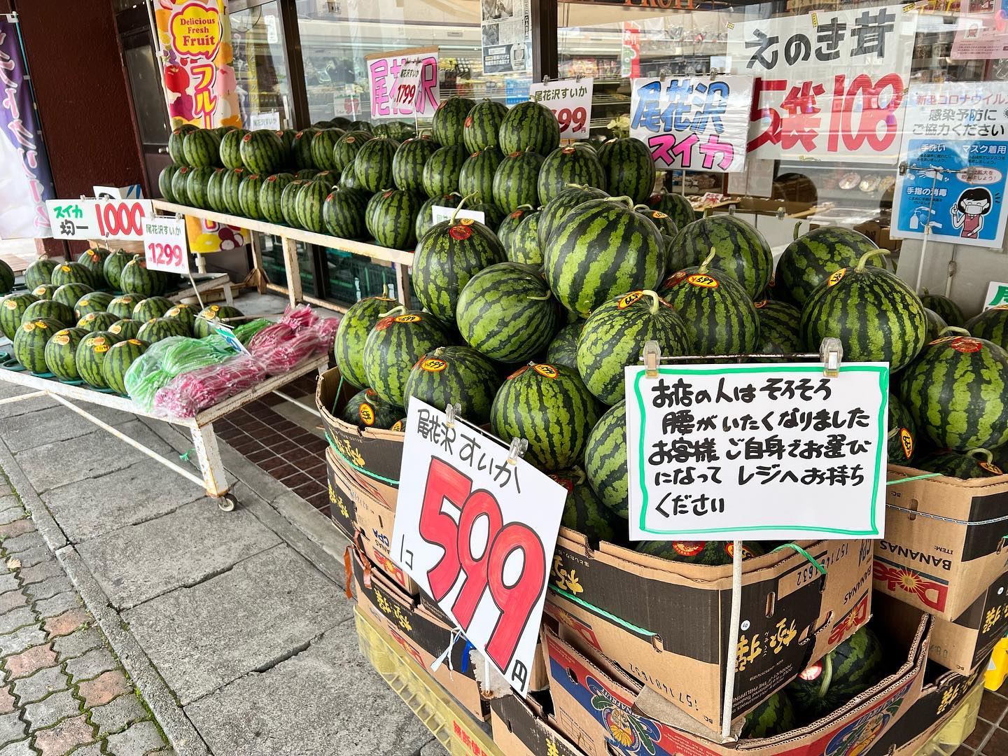 スイカ〜
ついに500円台に突入〜️