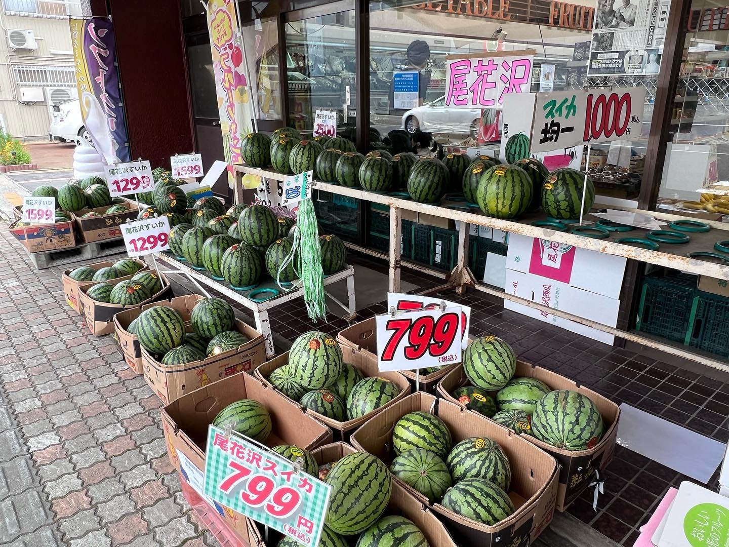 すいか祭り〜
桃まつり〜️
かぶと虫またまた入荷しました〜