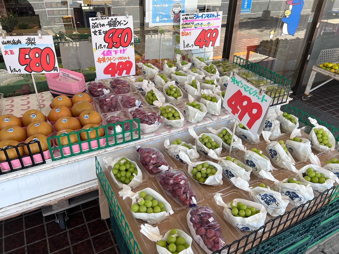 シャインマスカット
499円️スタート️️