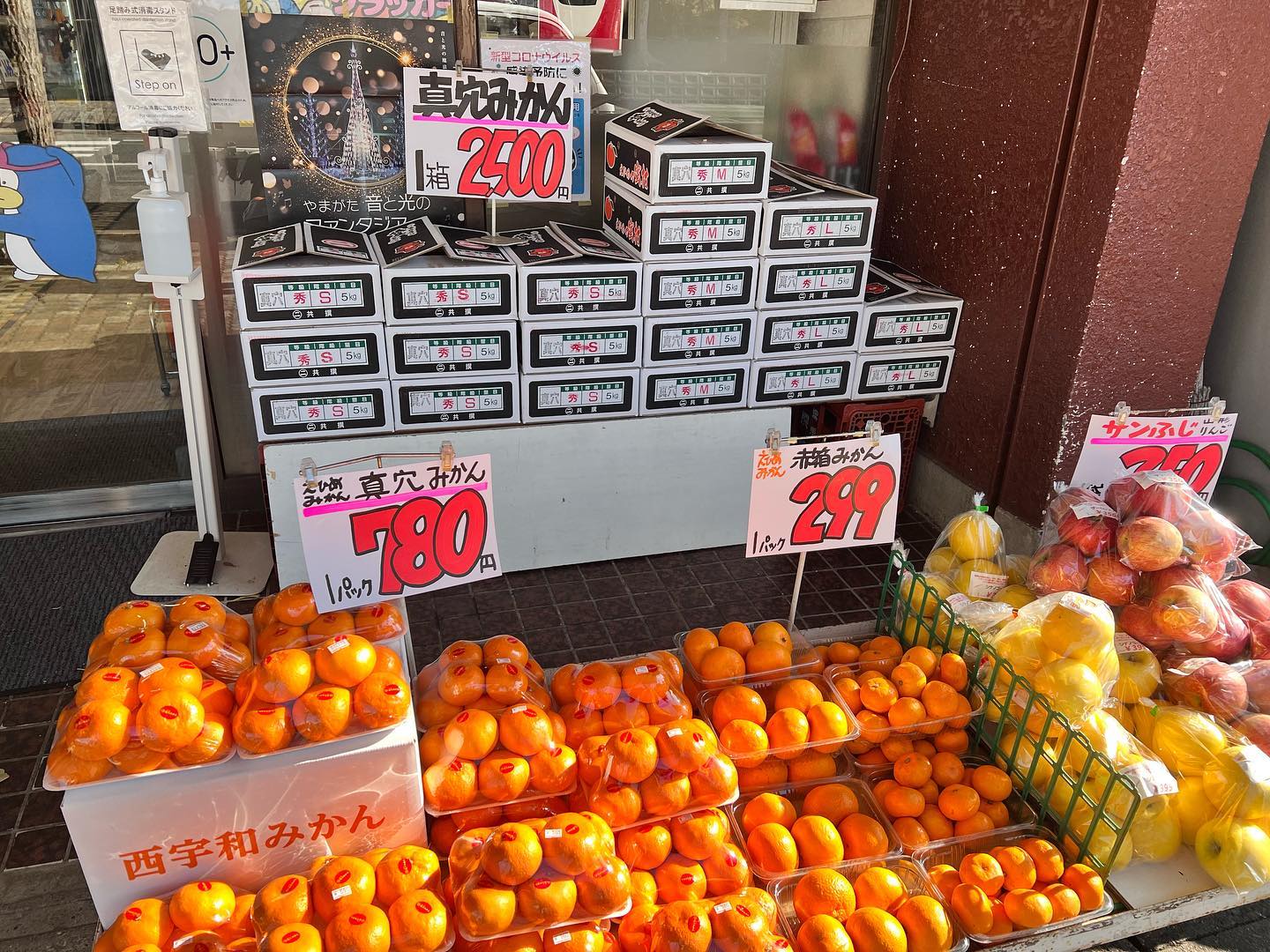 真穴みかん
うまいよ〜
5kg箱=2,500円️