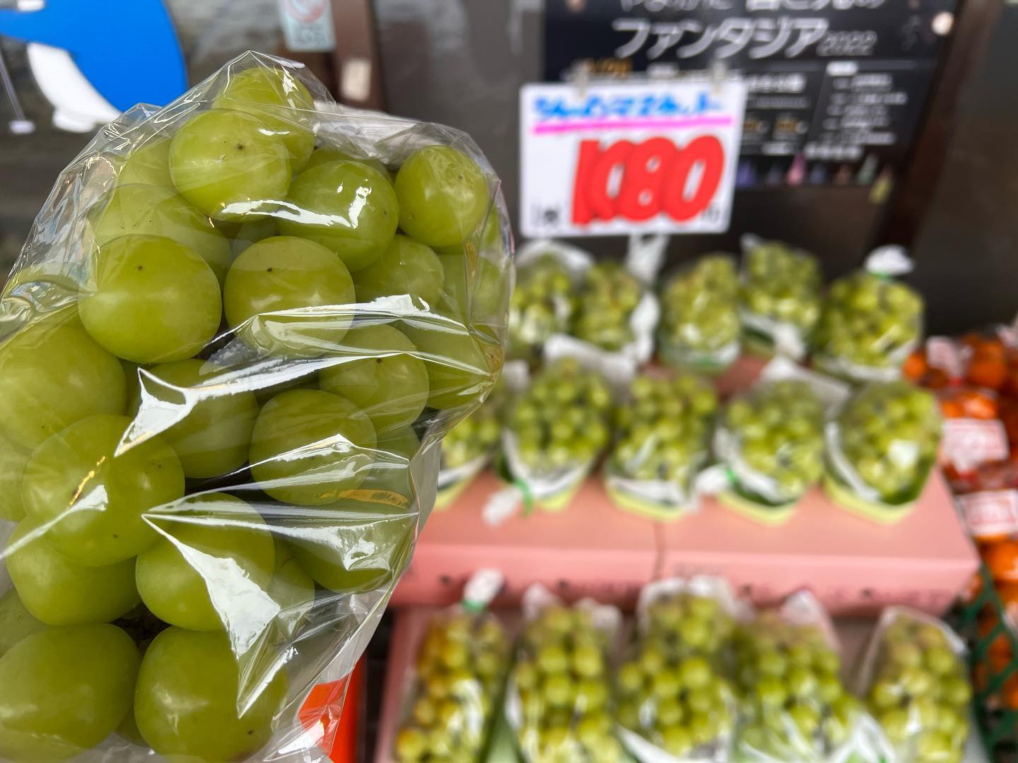 関山峠のシャインマスカット
本日が最終出荷です〜。
今日まで毎日毎日出荷していて、どんだけデカい畑なんだ〜と思っていましたが、それよりも品質を落とさない保存技術は
大したもんだと思います。今シーズンの最終出荷おめでとうございます。