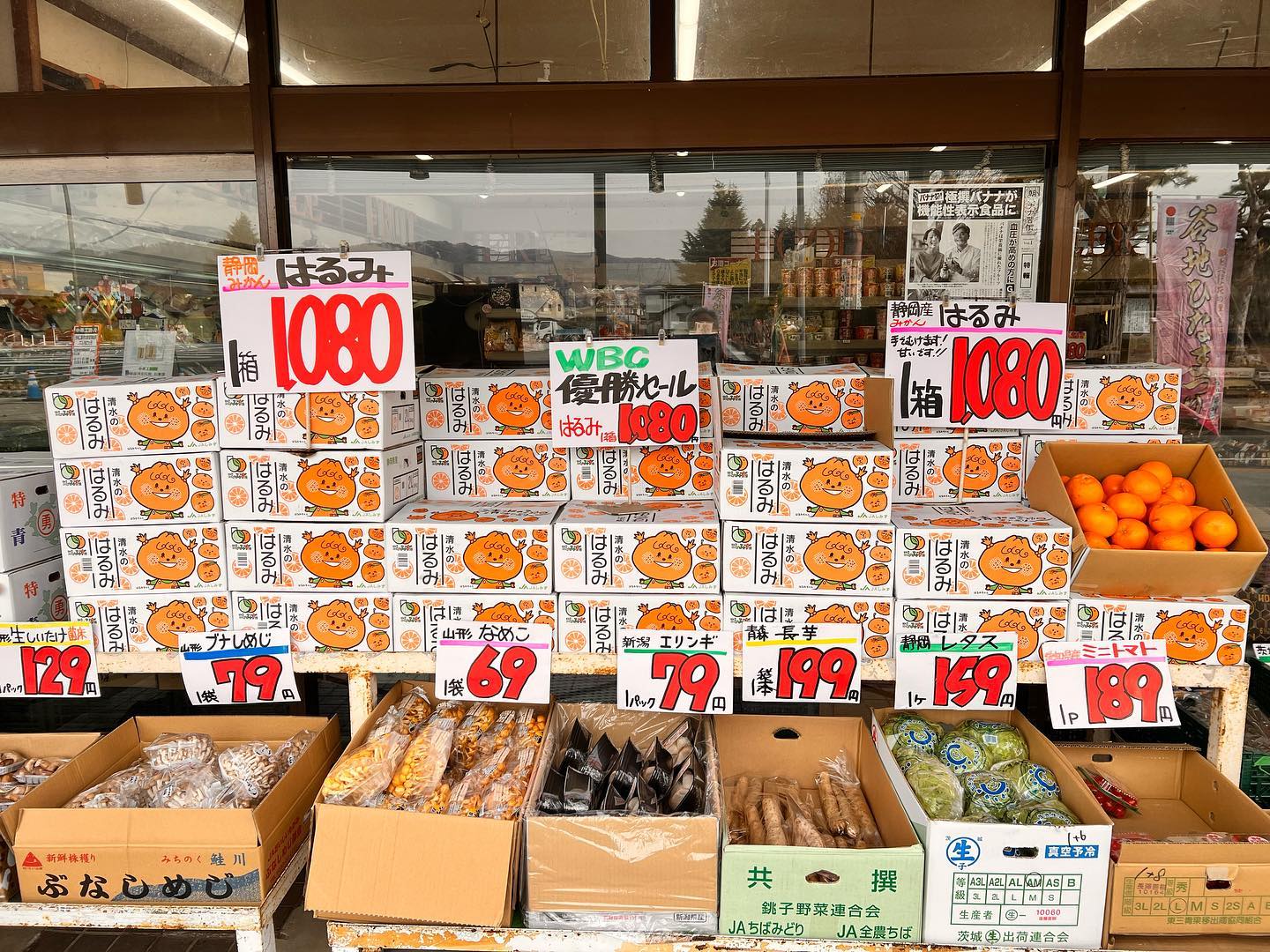 WBC 優勝おめでとう️
はるみ箱で1,080円️
しっかりした粒々のデコポンのように甘いみかんです。手で剥いて食べてね。