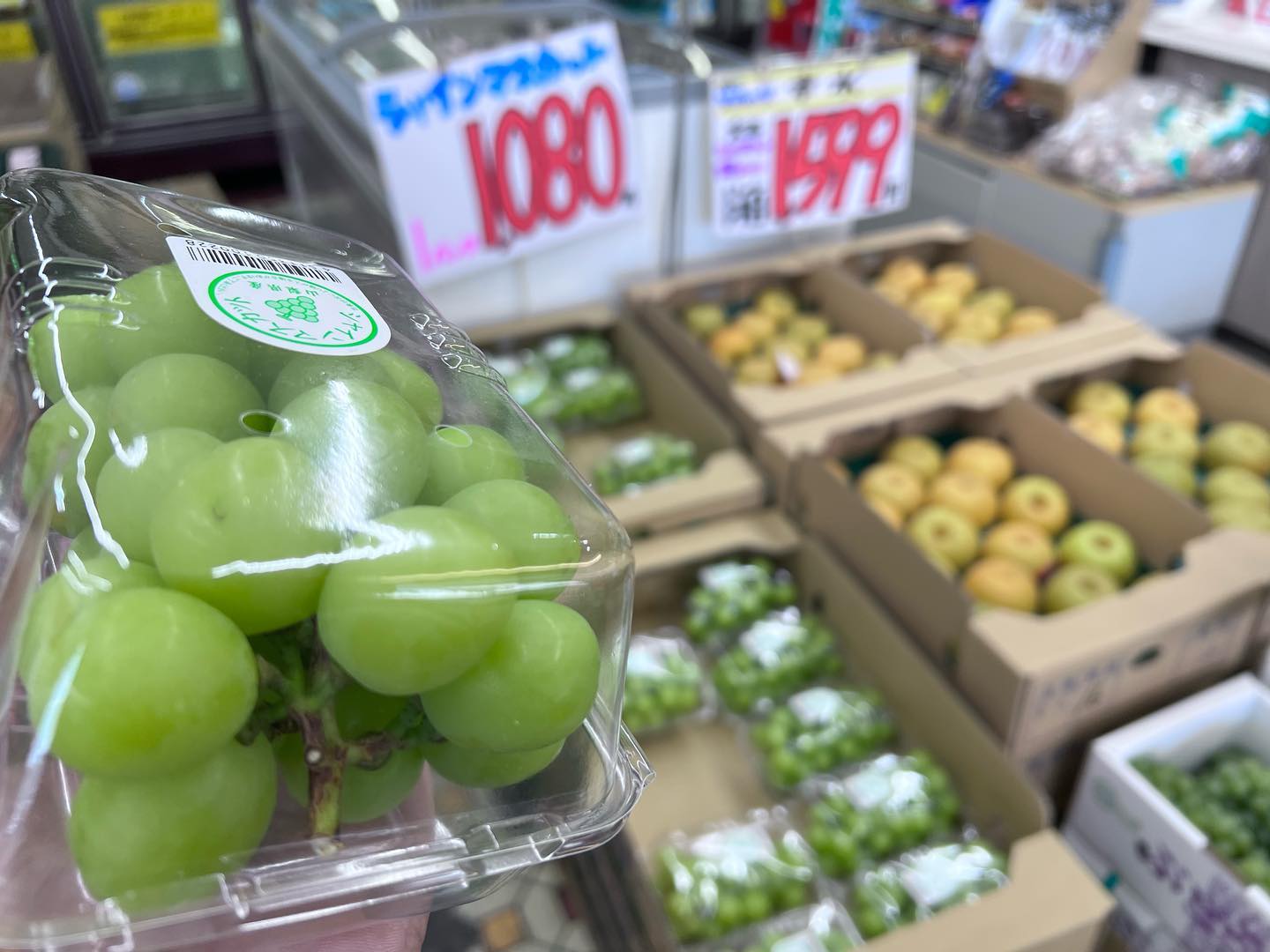 シャインマスカット
種無し皮ごと️
1パック1,080円
山形りんご『スイートメロディー』1パック299円
お野菜の特にオススメは特大キャベツ1個108円