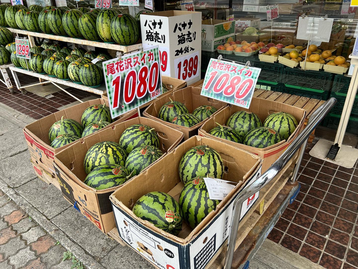 スイカはいつまで続くのか〜️