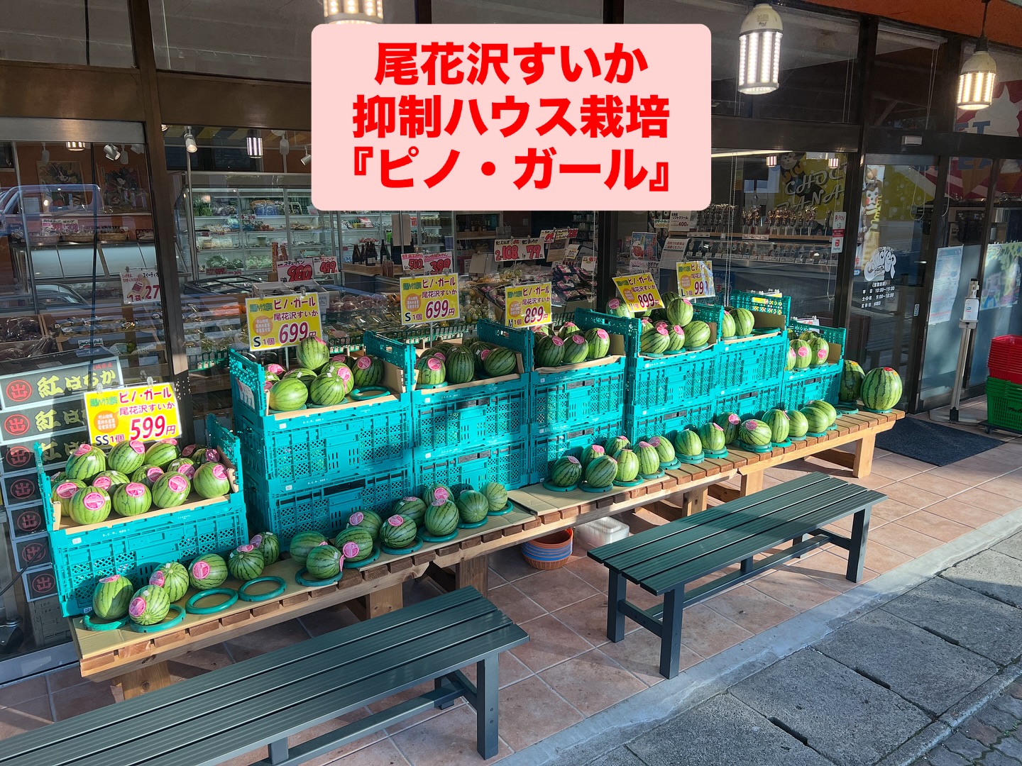 尾花沢すいか 
最終入荷か️
尾花沢すいかとしては珍しい二毛作を行う若き営農者。夏場の露地栽培のすいかをメインとしていますが、その夏前の6月から7月にかけてハウスによる早出し、そして植え替えての9月後半での収穫。スイカやとうもろこし、冬場の切り干し大根など通年雇用の取り組み等にとても熱意を感じました。高齢化により農地が集まってきて企業としての農業への取り組み、数年前に村山地域農林水産業若者賞を受賞した方ですので納得です。応援していきたいと思います。
当店に並んだ西瓜は夏スイカの持ち越しではなく、この時期を狙っての抑制ハウス栽培のすいか、矢作さんが丹精込めて育てた『ピノ・ガール』です。
甘くてシャリシャリ、タネごと食べられる小玉すいかです。
今シーズン最後に食べてみませんか。
