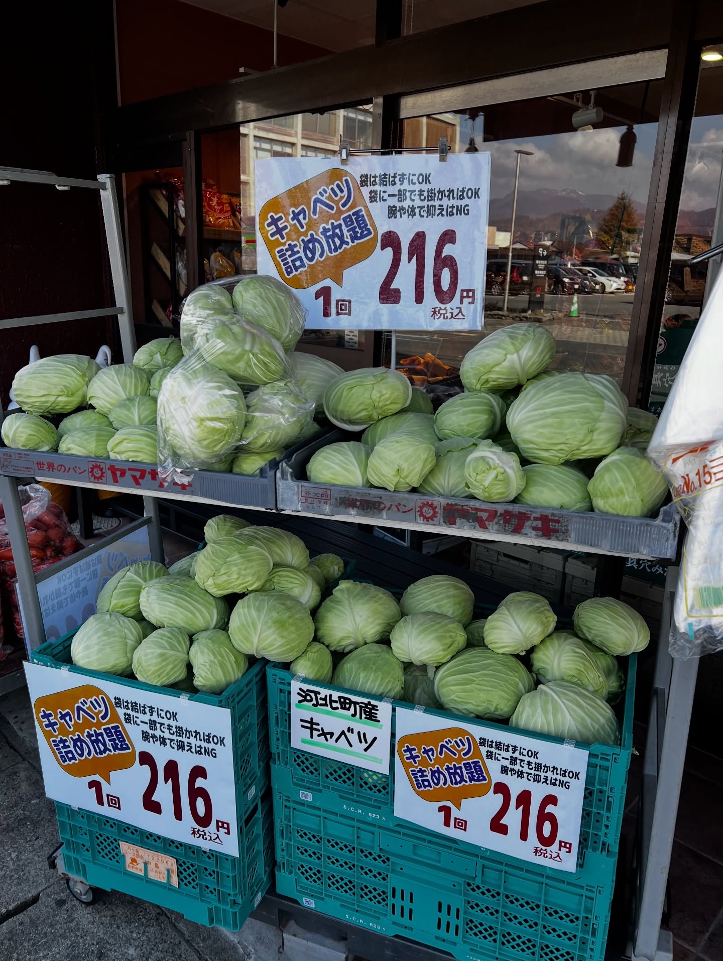 初のキャベツの詰め放題